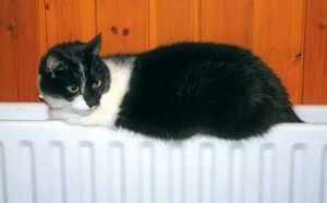 Дизельные котлы отопления - расчет расхода топлива